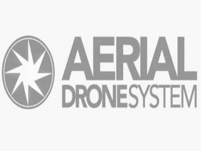 Aerial Drone System